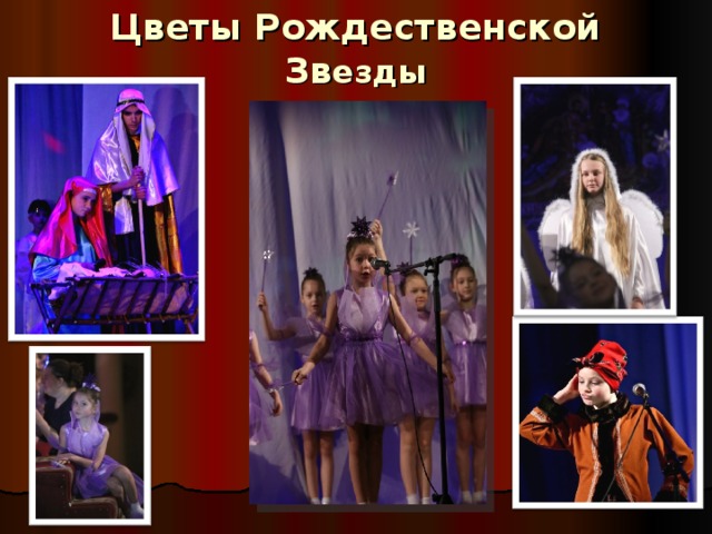 Цветы Рождественской Зв езды 