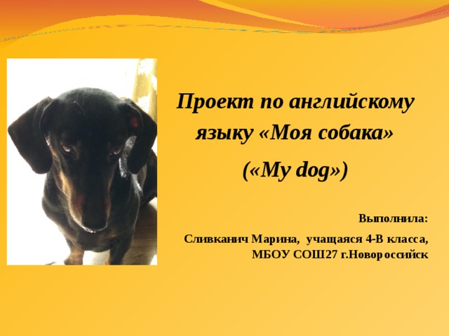 Проект по английскому языку «Моя собака» («My dog»)   Выполнила: Сливканич Марина, учащаяся 4-В класса, МБОУ СОШ27 г.Новороссийск 