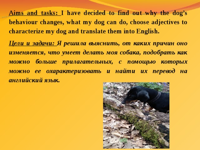 Aims and tasks: I have decided to find out why the dog’s behaviour changes, what my dog can do, choose adjectives to characterize my dog and translate them into English. Цели и задачи: Я решила выяснить, от каких причин оно изменяется, что умеет делать моя собака, подобрать как можно больше прилагательных, с помощью которых можно ее охарактеризовать и найти их перевод на английский язык. 