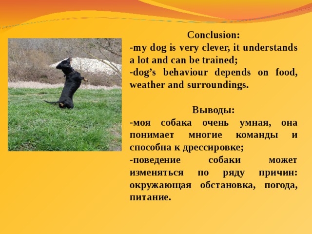 Conclusion: -my dog is very clever, it understands a lot and can be trained; -dog’s behaviour depends on food, weather and surroundings.  Выводы: -моя собака очень умная, она понимает многие команды и способна к дрессировке; -поведение собаки может изменяться по ряду причин: окружающая обстановка, погода, питание. 