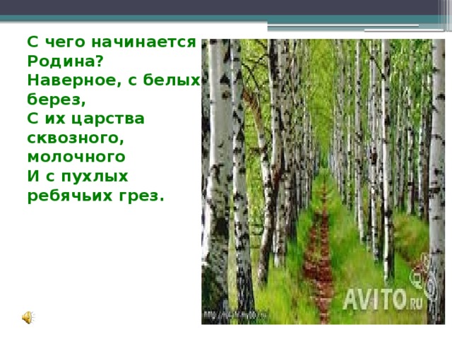 С чего начинается Родина?  Наверное, с белых берез,  С их царства сквозного, молочного  И с пухлых ребячьих грез.    