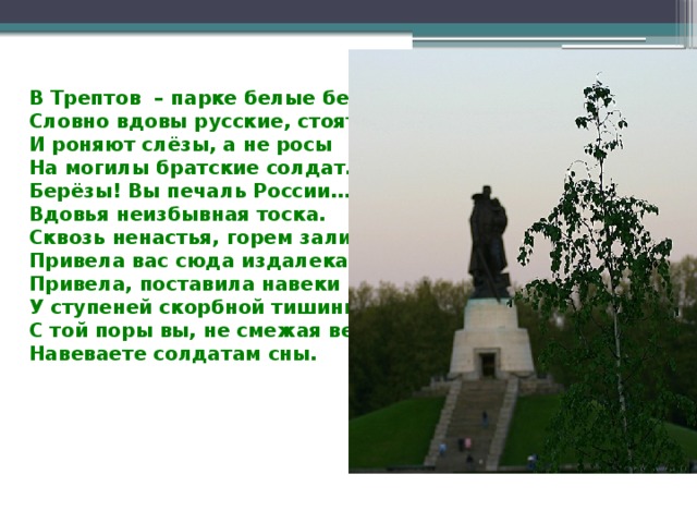 В Трептов – парке белые берёзы, Словно вдовы русские, стоят И роняют слёзы, а не росы На могилы братские солдат. Берёзы! Вы печаль России… Вдовья неизбывная тоска. Сквозь ненастья, горем залитые, Привела вас сюда издалека. Привела, поставила навеки У ступеней скорбной тишины. С той поры вы, не смежая веки, Навеваете солдатам сны. 