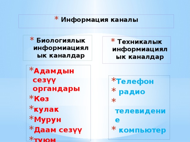 Информация каналы Биологиялык информиациялык каналдар Техникалык информиациялык каналдар Адамдын сезүү органдары Көз кулак Мурун Даам сезүү туюм Телефон  радио  телевидение  компьютер 