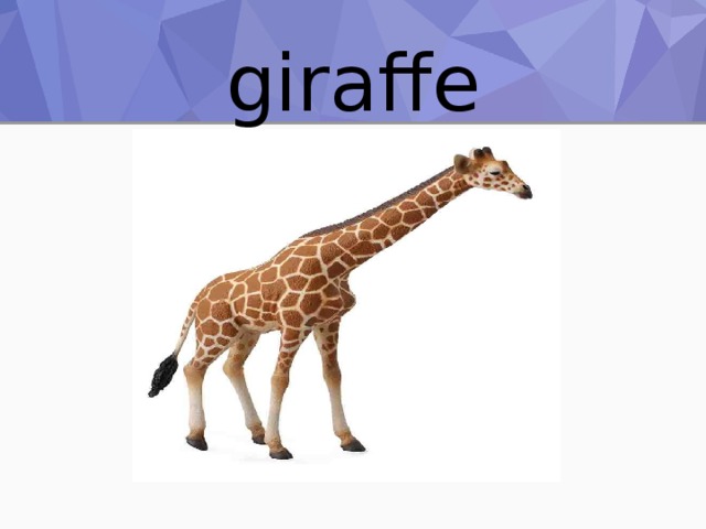 giraffe 