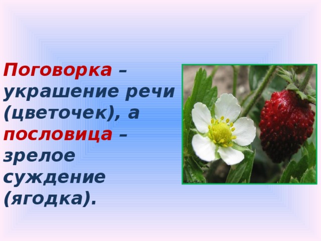 Поговорка  – украшение речи (цветочек), а пословица  – зрелое суждение (ягодка). 