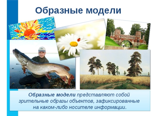 Образные модели Образные модели представляют собой  зрительные образы объектов, зафиксированные  на каком-либо носителе информации. 