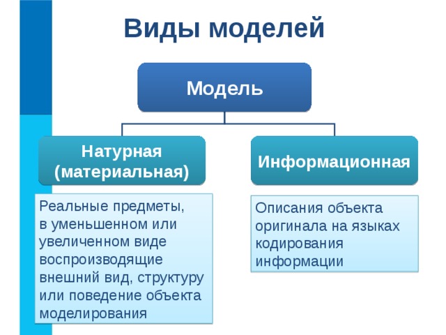 Виды моделей Модель Натурная (материальная) Информационная Реальные предметы,  в уменьшенном или увеличенном виде воспроизводящие внешний вид, структуру или поведение объекта моделирования Описания объекта оригинала на языках кодирования информации 
