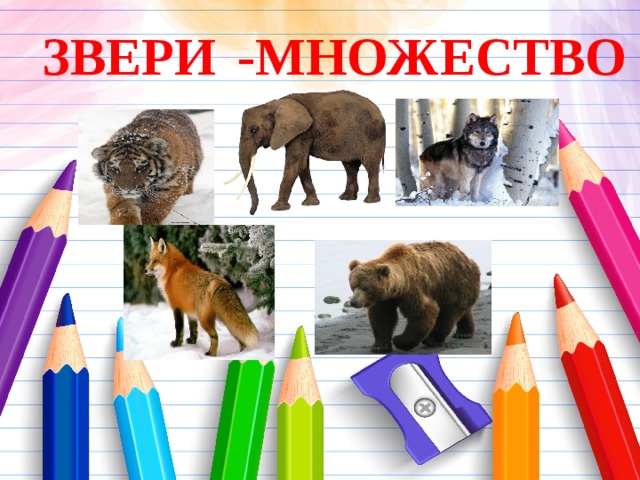 -МНОЖЕСТВО ЗВЕРИ 