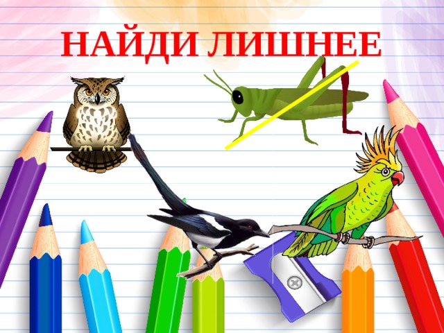 НАЙДИ ЛИШНЕЕ 