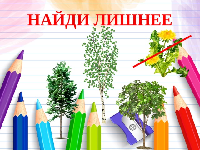 НАЙДИ ЛИШНЕЕ 