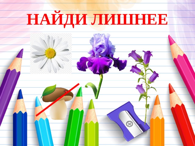 НАЙДИ ЛИШНЕЕ 