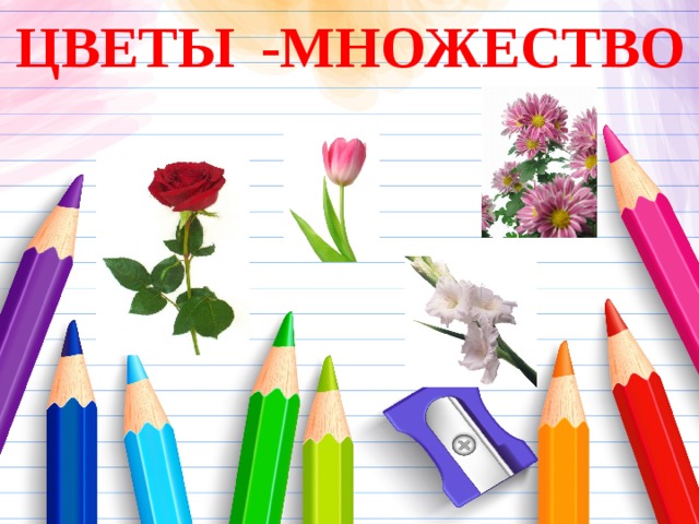 -МНОЖЕСТВО ЦВЕТЫ 