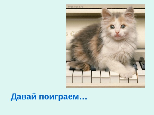 Давай поиграем… 