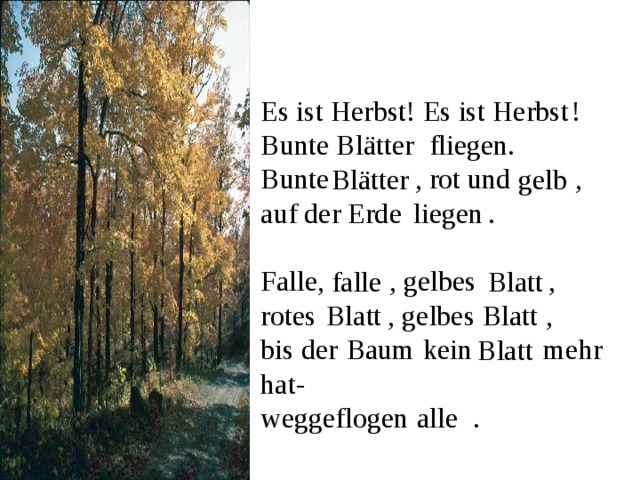 Es ist Herbst! Es ist  ! Bunte  fliegen. Bunte  , rot und  , auf der Erde  . Falle,  , gelbes  , r otes    , gelbes , bis der kein mehr hat-  w eggeflogen . Herbst Blätter gelb Blätter liegen falle Blatt Blatt Blatt Baum Blatt alle 