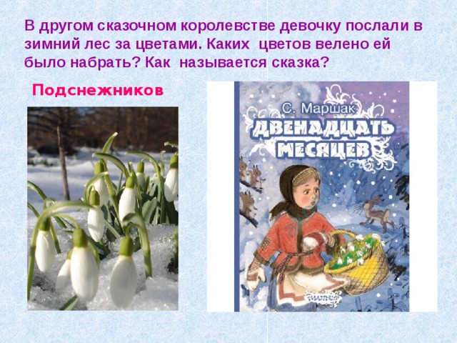 В другом сказочном королевстве девочку послали в зимний лес за цветами. Каких цветов велено ей было набрать? Как называется сказка? Подснежников « 
