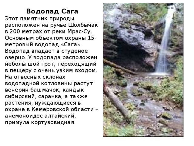 Водопад Сага Этот памятник природы расположен на ручье Шолбычак в 200 метрах от реки Мрас-Су. Основным объектом охраны 15-метровый водопад «Сага». Водопад впадает в студеное озерцо. У водопада расположен небольгшой грот, переходящий в пещеру с очень узким входом. На отвесных склонах водопадной котловины растут венерин башмачок, кандык сибирский, саранка, а также растения, нуждающиеся в охране в Кемеровской области – анемоноидес алтайский, примула кортузовидная. 