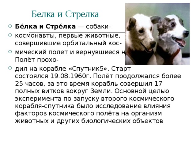 Белка и Стрелка