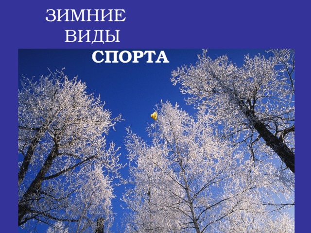  ЗИМНИЕ  ВИДЫ  СПОРТА 