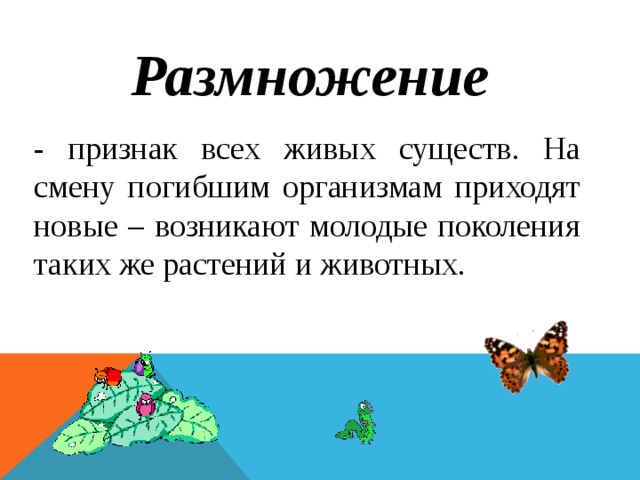 Размножение - признак всех живых существ. На смену погибшим организмам приходят новые – возникают молодые поколения таких же растений и животных. 