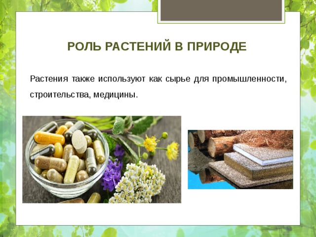 Роль растений в природе Растения также используют как сырье для промышленности, строительства, медицины. 