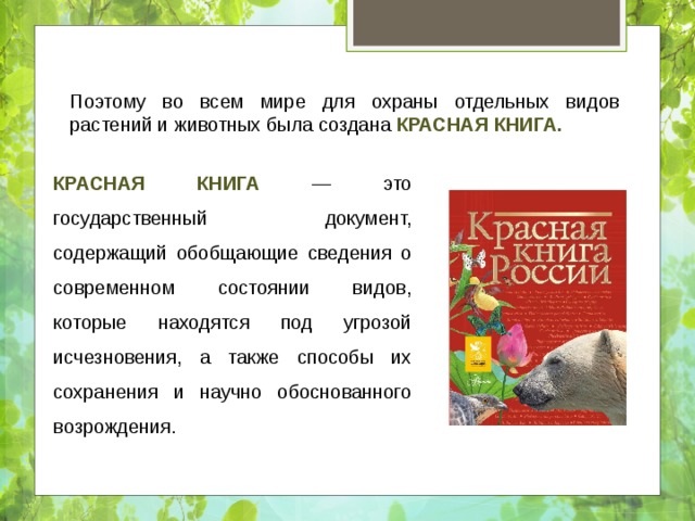 Поэтому во всем мире для охраны отдельных видов растений и животных была создана Красная книга. Красная книга — это государственный документ, содержащий обобщающие сведения о современном состоянии видов, которые находятся под угрозой исчезновения, а также способы их сохранения и научно обоснованного возрождения. 