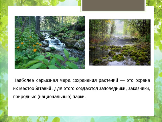 Наиболее серьезная мера сохранения растений — это охрана их местообитаний. Для этого создаются заповедники, заказники, природные (национальные) парки. 