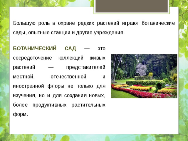 Большую роль в охране редких растений играют ботанические сады, опытные станции и другие учреждения. Ботанический сад — это сосредоточение коллекций живых растений — представителей местной, отечественной и иностранной флоры не только для изучения, но и для создания новых, более продуктивных растительных форм. 