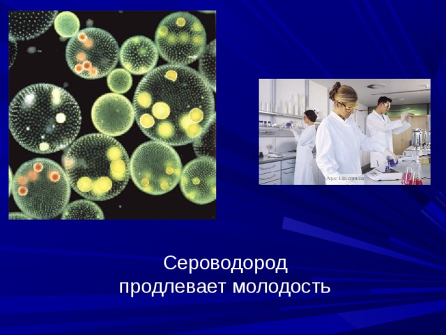 Сероводород продлевает молодость 