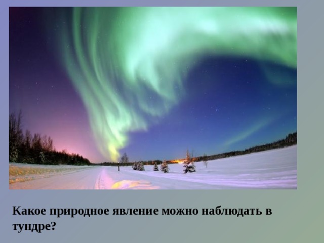 Какое природное явление можно наблюдать в тундре? 