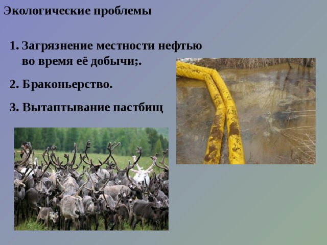 Экологические проблемы Загрязнение местности нефтью во время её добычи;. 2. Браконьерство. 3. Вытаптывание пастбищ 