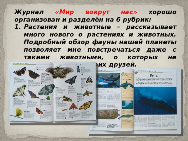 Журнал «Мир вокруг нас» хорошо организован и разделён на 6 рубрик: Растения и животные – рассказывает много нового о растениях и животных. Подробный обзор фауны нашей планеты позволяет мне повстречаться даже с такими животными, о которых не слышал никто из моих друзей. 