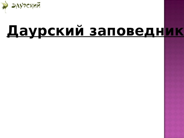 Даурский заповедник  