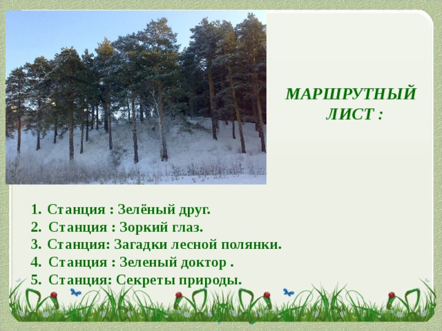 МАРШРУТНЫЙ ЛИСТ : Станция : Зелёный друг. 2. Станция : Зоркий глаз. Станция: Загадки лесной полянки. 4. Станция : Зеленый доктор . 5. Станция: Секреты природы. 