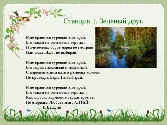 Станция 1. Зелёный друг. Мне нравится суровый этот край. Его никем не считанные вёрсты . И ленточных боров наряд не пёстрый Иди сюда .Иди , не выбирай. Мне нравится суровый этот край. Его народ спокойный и надёжный. С парнями этими идти в разведку можно. Не проведут. Бери. Не выбирай. Мне нравится суровый этот край. Его никем не считанные версты… Как глубоко корнями в сердце врос ты, Не оторвать. Любовь моя , АЛТАЙ!  И.Выдрин 