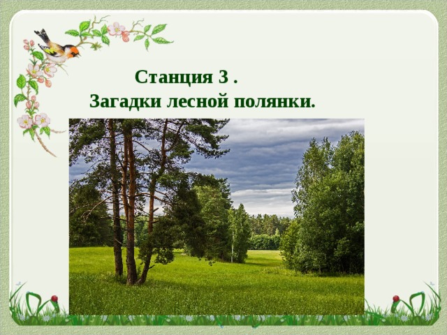   Станция 3 .  Загадки лесной полянки. 