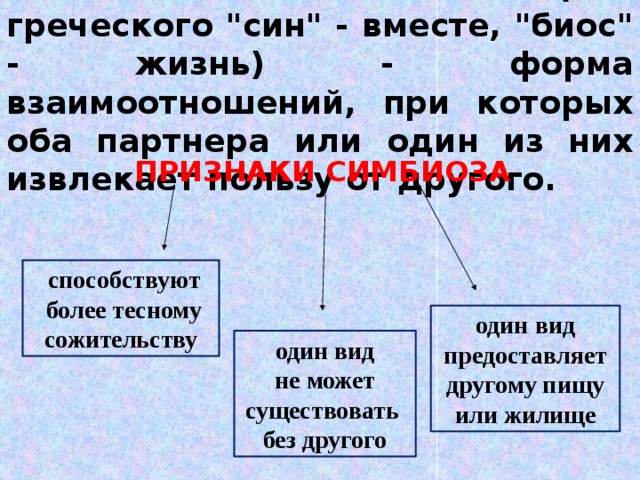 Симбиоз - сожительство ( от греческого 