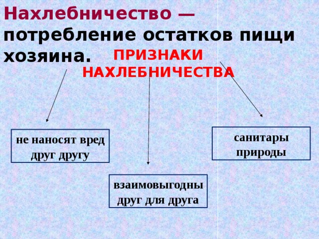 Нахлебничество — потребление остатков пищи хозяина. ПРИЗНАКИ НАХЛЕБНИЧЕСТВА санитары природы не наносят вред друг другу взаимовыгодны друг для друга 