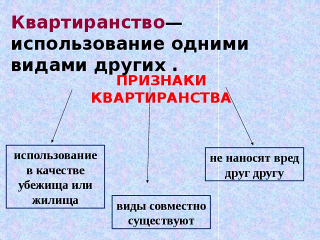 Квартиранство — использование одними видами других . ПРИЗНАКИ КВАРТИРАНСТВА использование в качестве убежища или жилища не наносят вред друг другу виды совместно существуют 