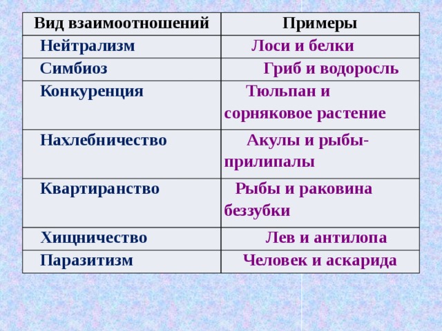 Вид взаимоотношений Примеры Нейтрализм  Лоси и белки Симбиоз  Гриб и водоросль Конкуренция Тюльпан и сорняковое растение Нахлебничество  Акулы и рыбы-прилипалы Квартиранство Рыбы и раковина беззубки Хищничество  Лев и антилопа Паразитизм Человек и аскарида 