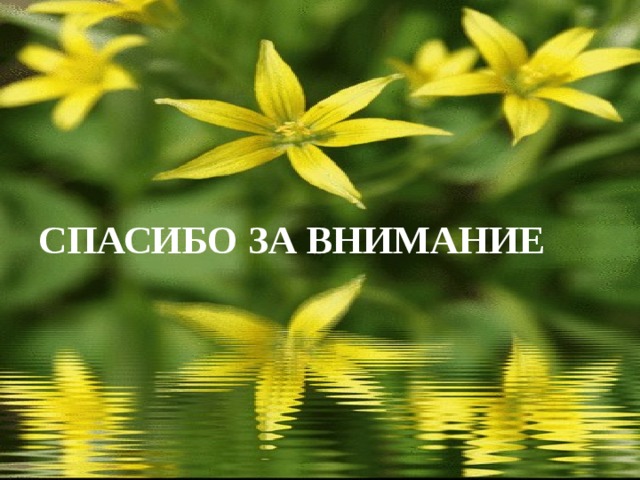 СПАСИБО ЗА ВНИМАНИЕ 