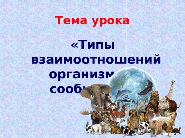 Тема урока «Типы взаимоотношений организмов в сообществе» 
