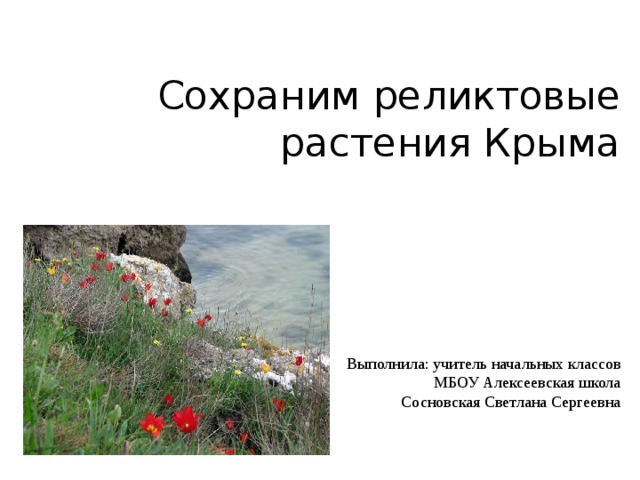 Сохраним реликтовые растения Крыма      Выполнила: учитель начальных классов  МБОУ Алексеевская школа  Сосновская Светлана Сергеевна 