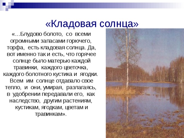 «Кладовая солнца»  «…Блудово болото, со всеми огромными запасами горючего, торфа, есть кладовая солнца. Да, вот именно так и есть, что горячее солнце было матерью каждой травинки, каждого цветочка, каждого болотного кустика и ягодки. Всем им солнце отдавало свое тепло, и они, умирая, разлагаясь, в удобрении передавали его, как наследство, другим растениям, кустикам, ягодкам, цветам и травинкам». 
