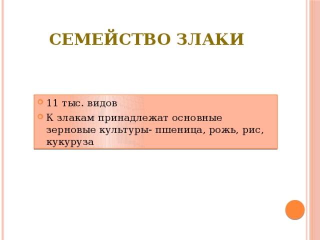 Семейство Злаки 11 тыс. видов К злакам принадлежат основные зерновые культуры- пшеница, рожь, рис, кукуруза 
