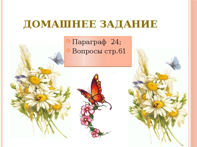 Домашнее задание Параграф 24; Вопросы стр.61 