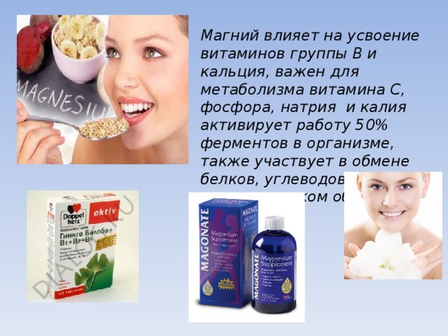 Магний влияет на усвоение витаминов группы В и кальция, важен для метаболизма витамина С, фосфора, натрия  и калия активирует работу 50% ферментов в организме, также участвует в обмене белков, углеводов  и энергетическом обмене.