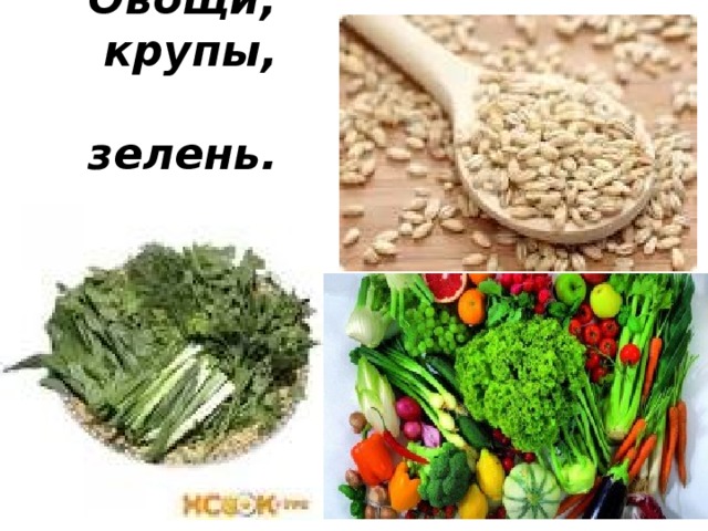 Овощи,  крупы,  зелень.   