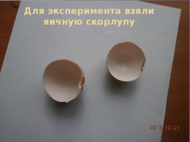 Для эксперимента взяли яичную скорлупу 