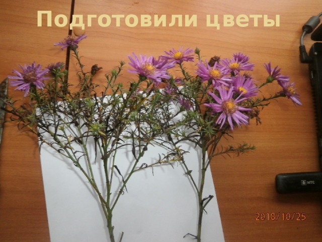Подготовили цветы 