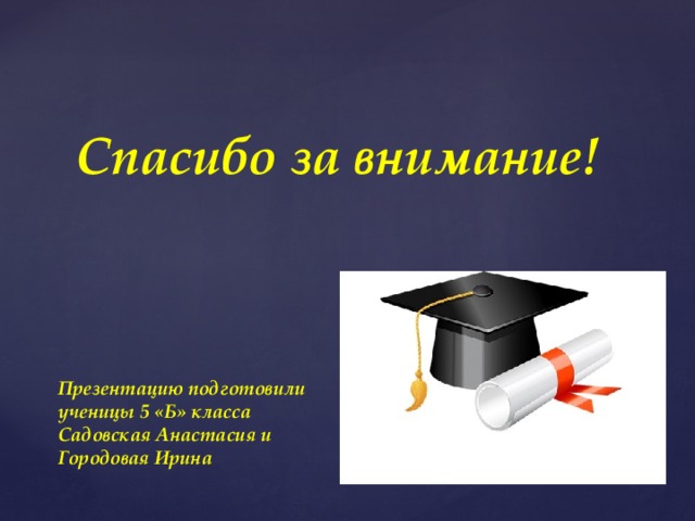 Спасибо за внимание! Презентацию подготовили ученицы 5 «Б» класса Садовская Анастасия и Городовая Ирина 